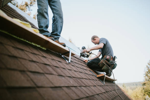 Roof Gutter Cleaning in Granville South, OH